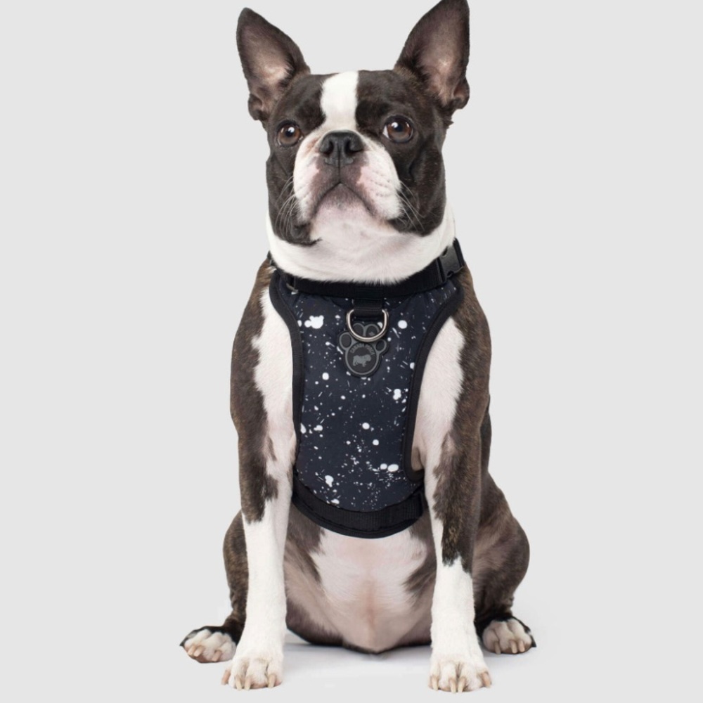 Canada Pooch Everything Harness
